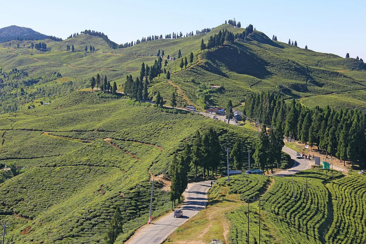 Kanyam