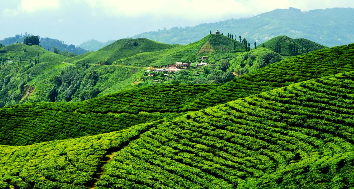 The Beauty of Ilam